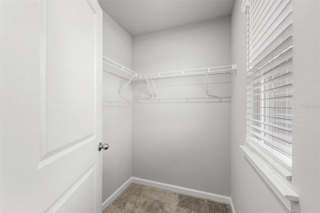 4366 Cloud Hopper Way, Lutz, FL 33559 Photo