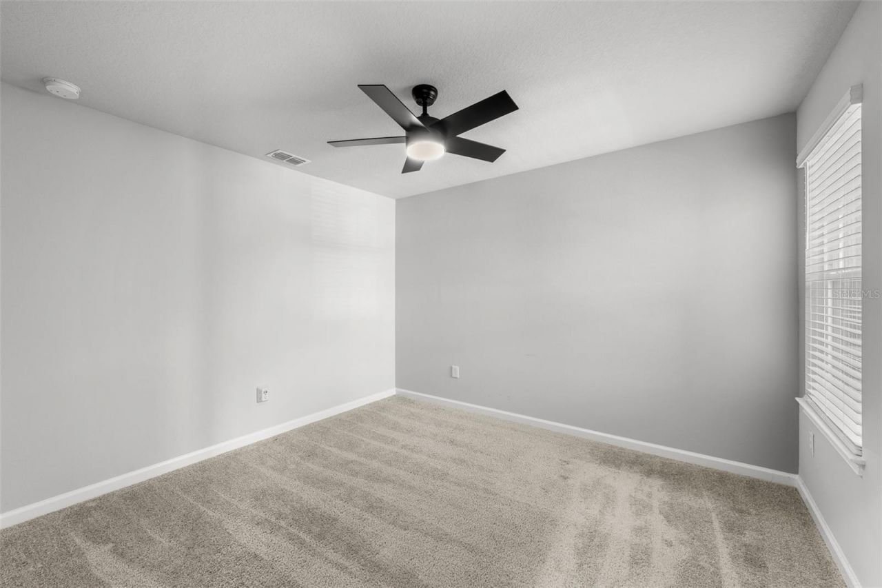 4366 Cloud Hopper Way, Lutz, FL 33559 Photo