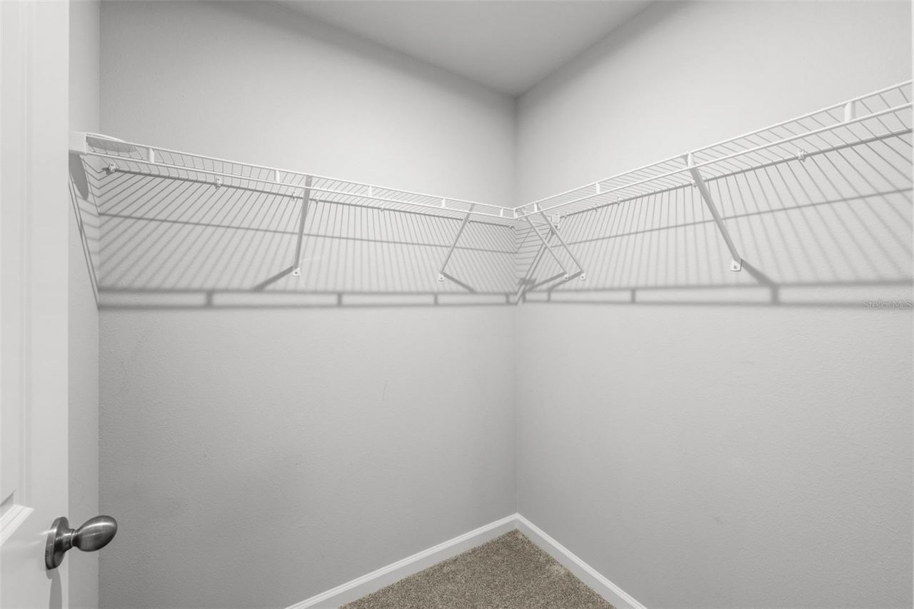 4366 Cloud Hopper Way, Lutz, FL 33559 Photo