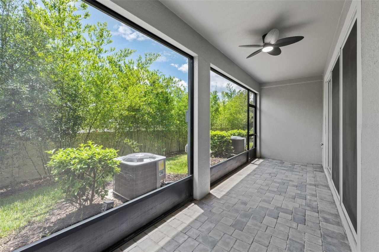 4366 Cloud Hopper Way, Lutz, FL 33559 Photo