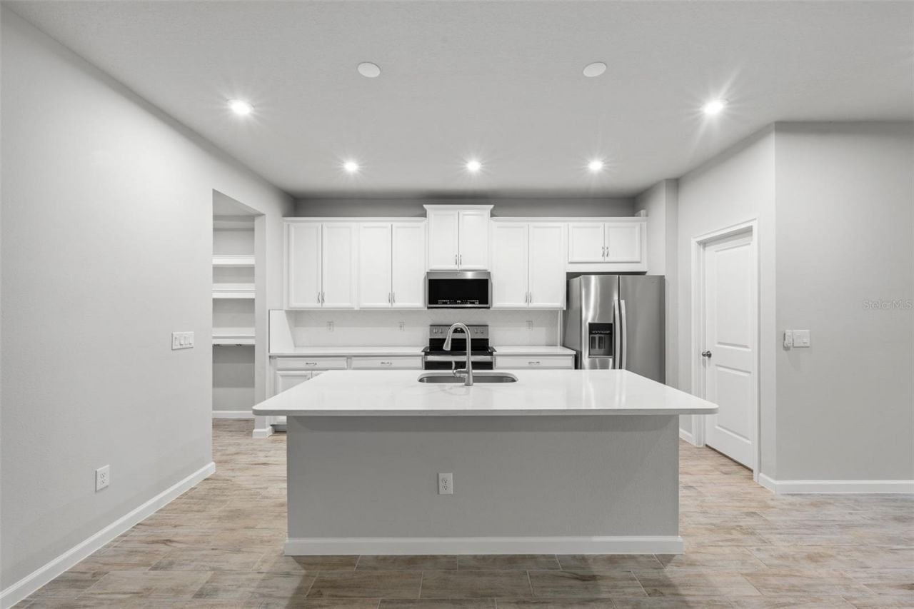 4366 Cloud Hopper Way, Lutz, FL 33559 Photo