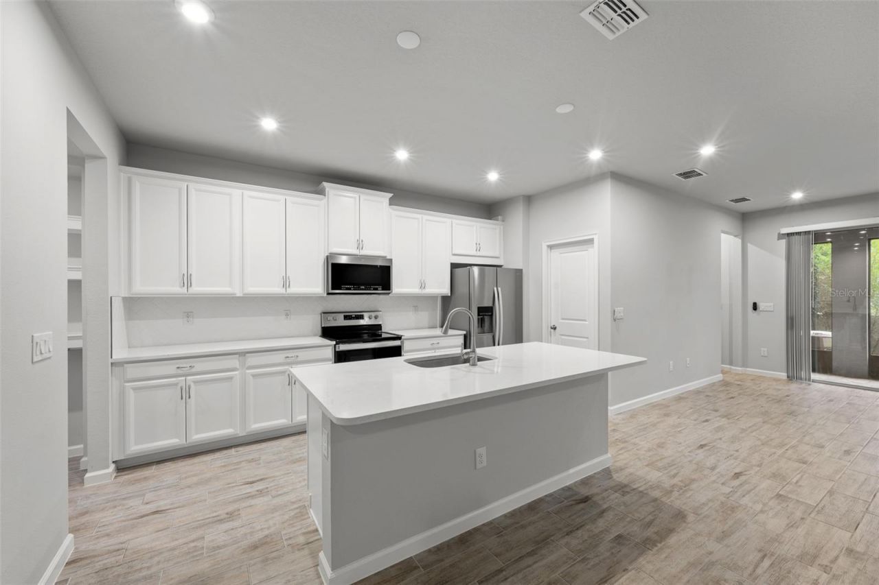 4366 Cloud Hopper Way, Lutz, FL 33559 Photo