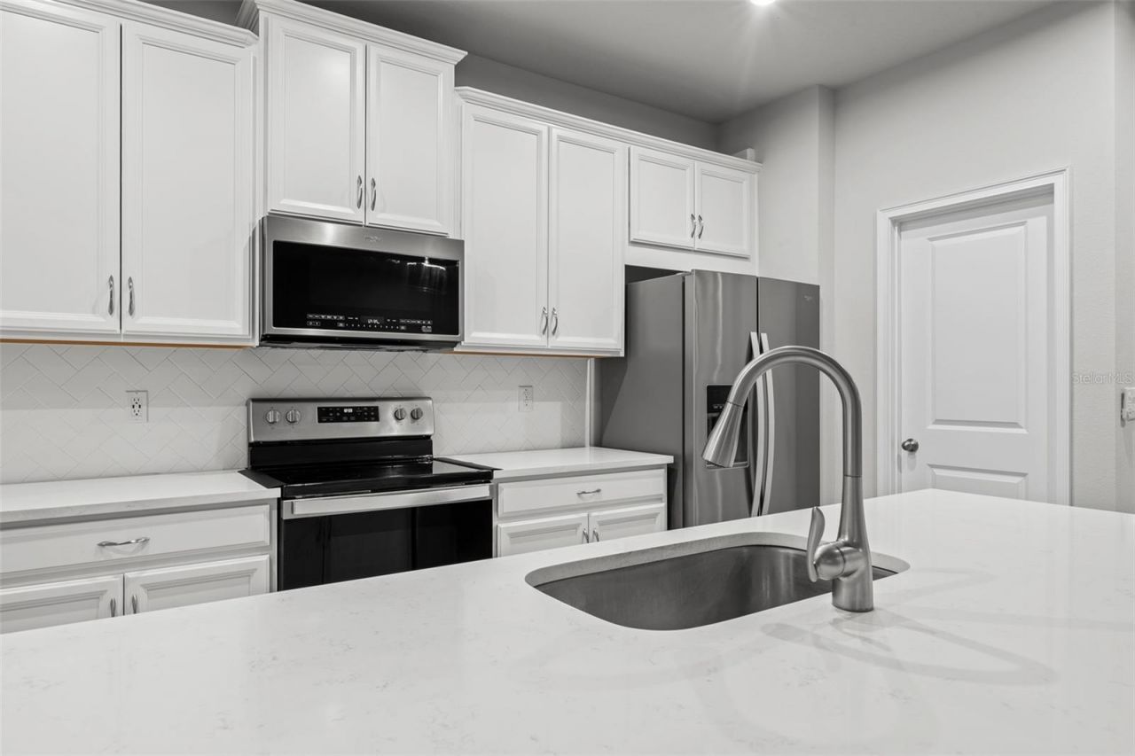 4366 Cloud Hopper Way, Lutz, FL 33559 Photo