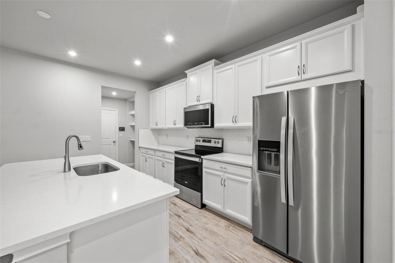 4366 Cloud Hopper Way, Lutz, FL 33559 Photo