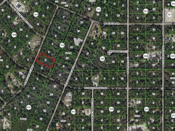 9345 N BEECHTREE WAY , CRYSTAL RIVER, FL 34428