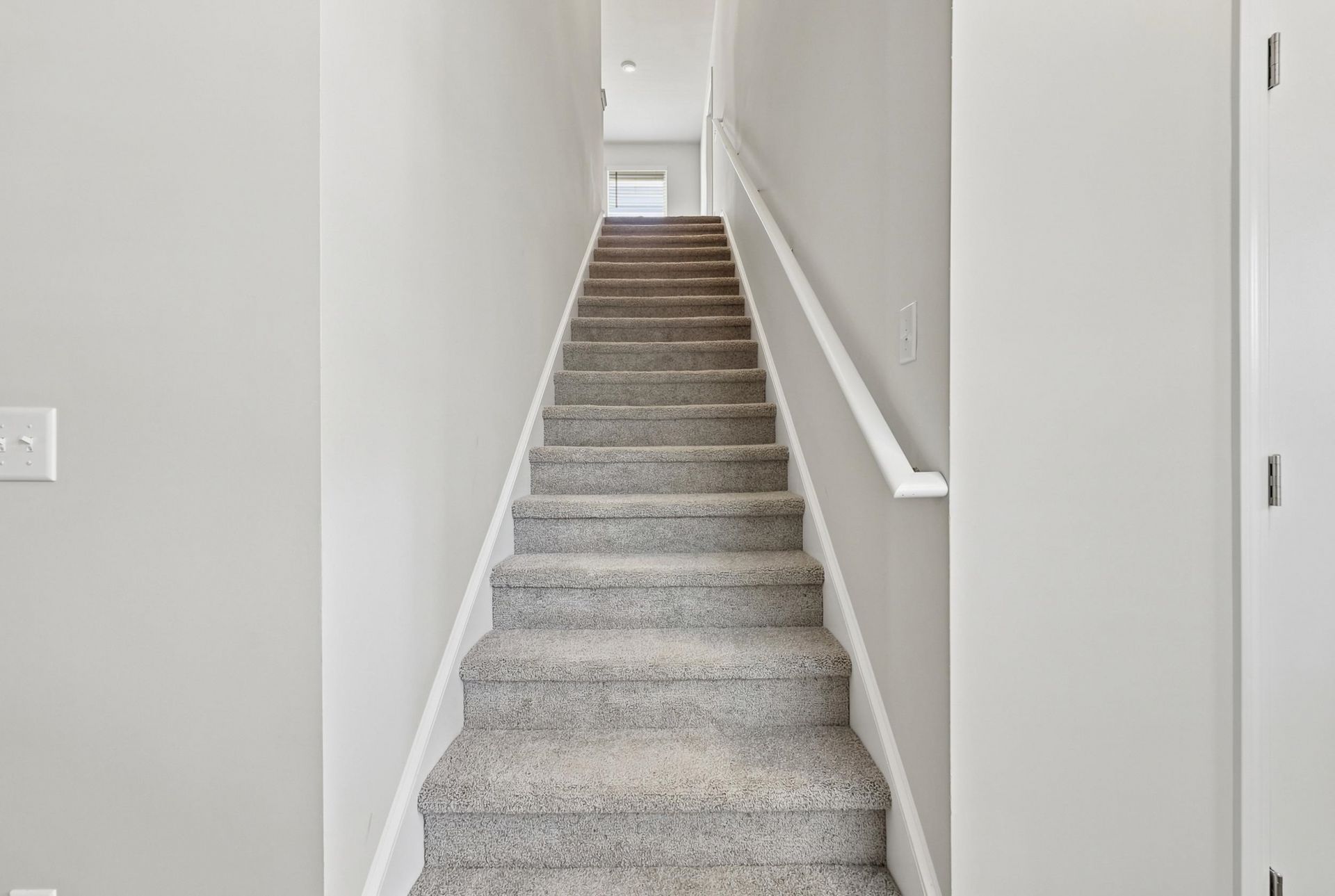 303 Ridley St  Photo 25
