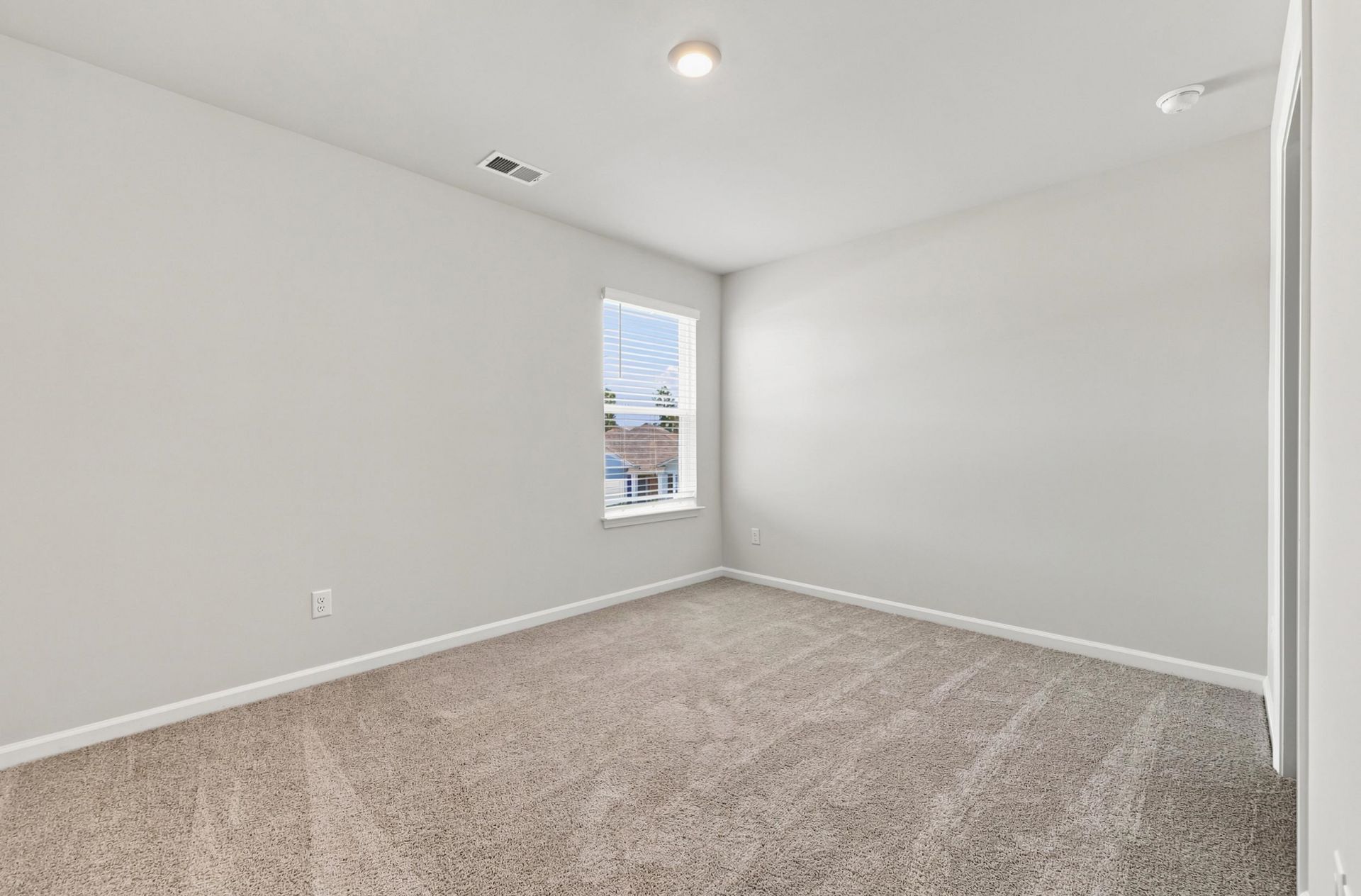 303 Ridley St  Photo 39