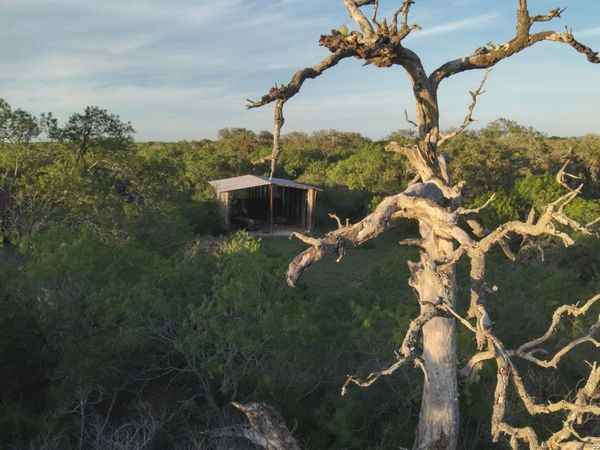 1305 FM 799, George West, TX 78022