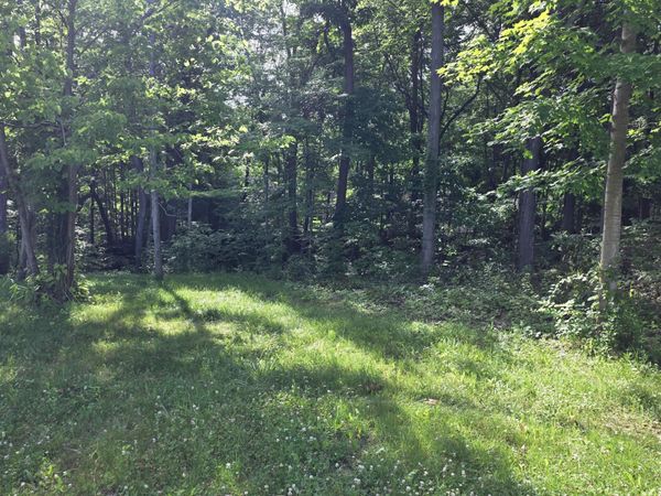 17641 Summerhill Lane, Unit 61, New Buffalo, MI 49117