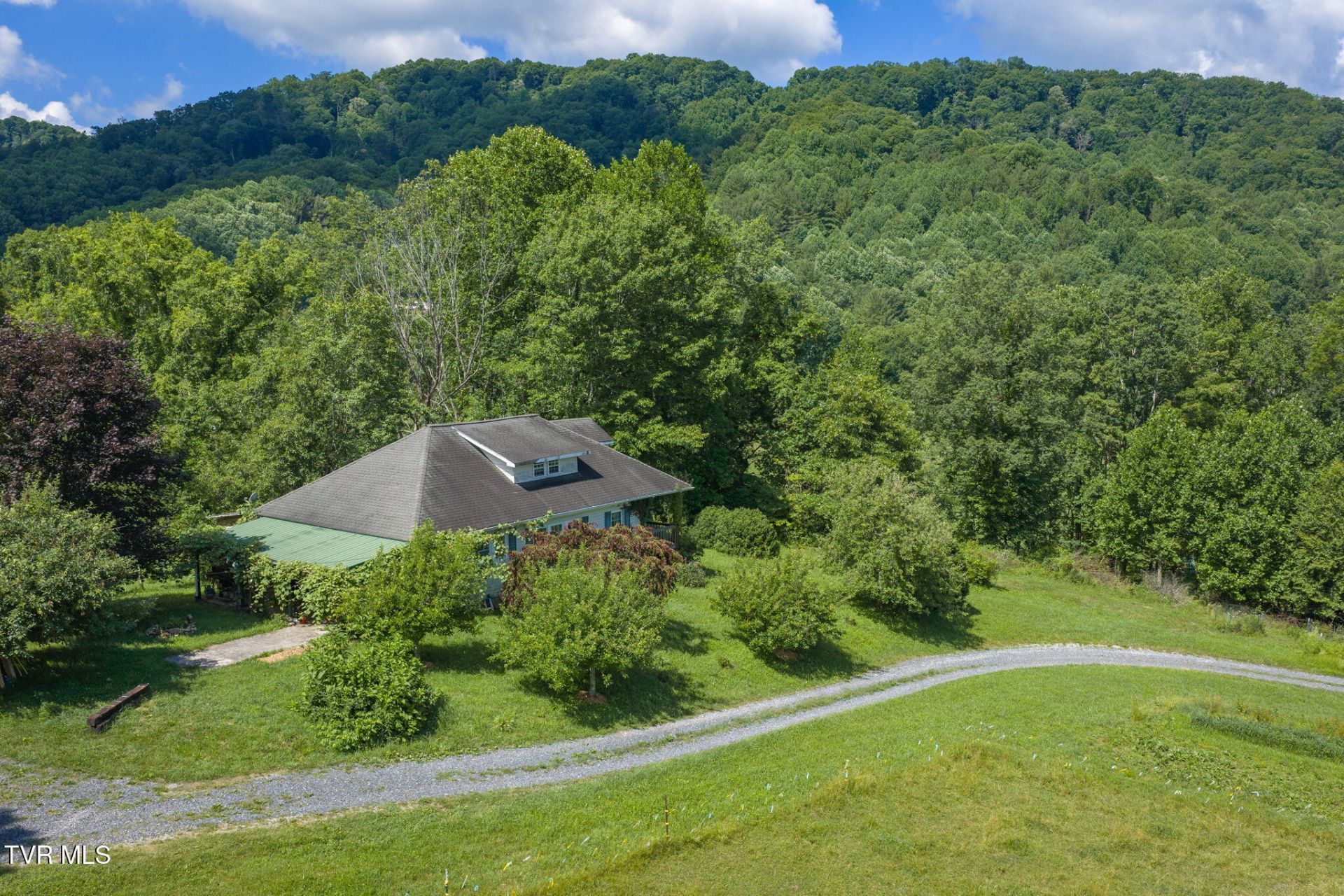 120 Teaberry Road, Roan Mountain, TN 37687 Main Photo
