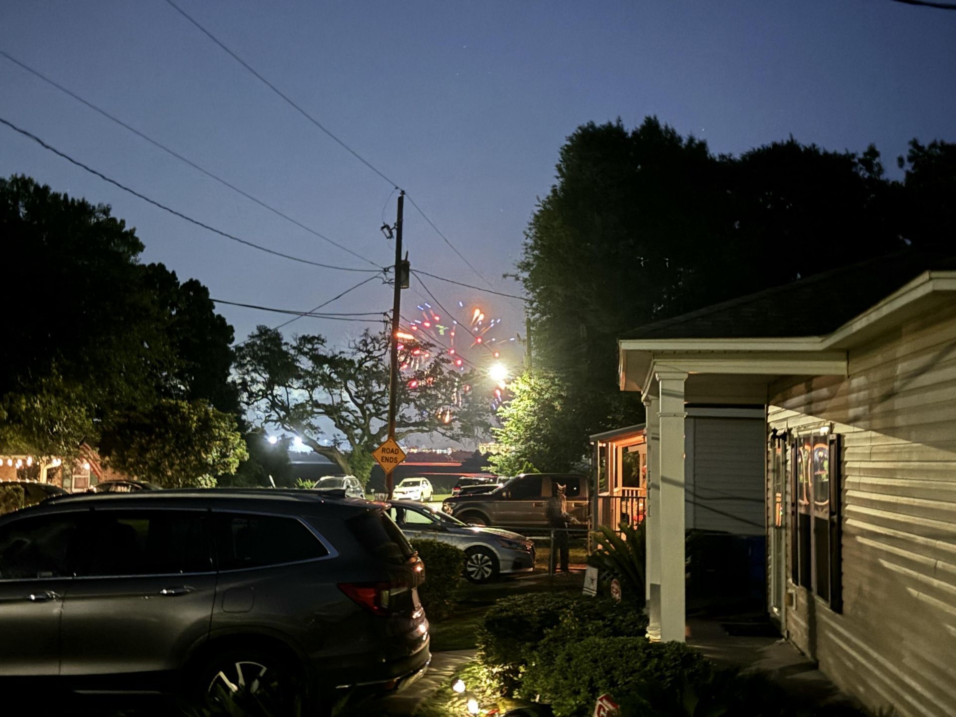 823 Minnie Street Photo 66