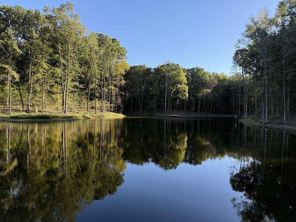 9171 COLLIERVILLE-ARLINGTON RD, Arlington, TN 38002
