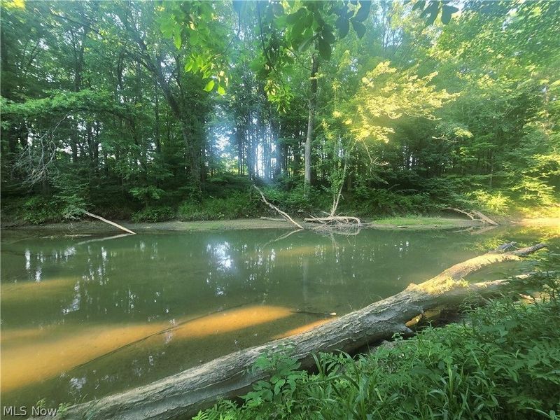V/L Nelson Mosier Road, Southington, OH 44470 Photo 8