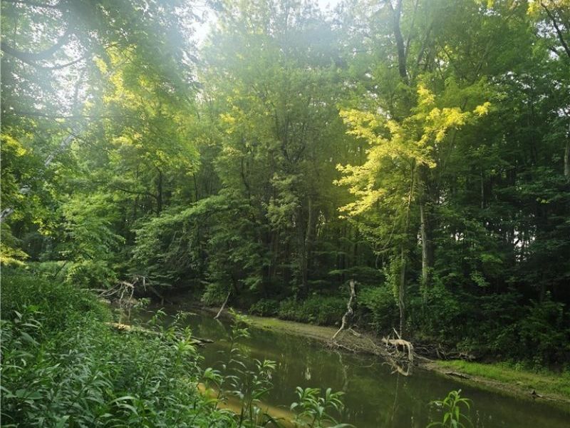 V/L Nelson Mosier Road, Southington, OH 44470 Photo 9