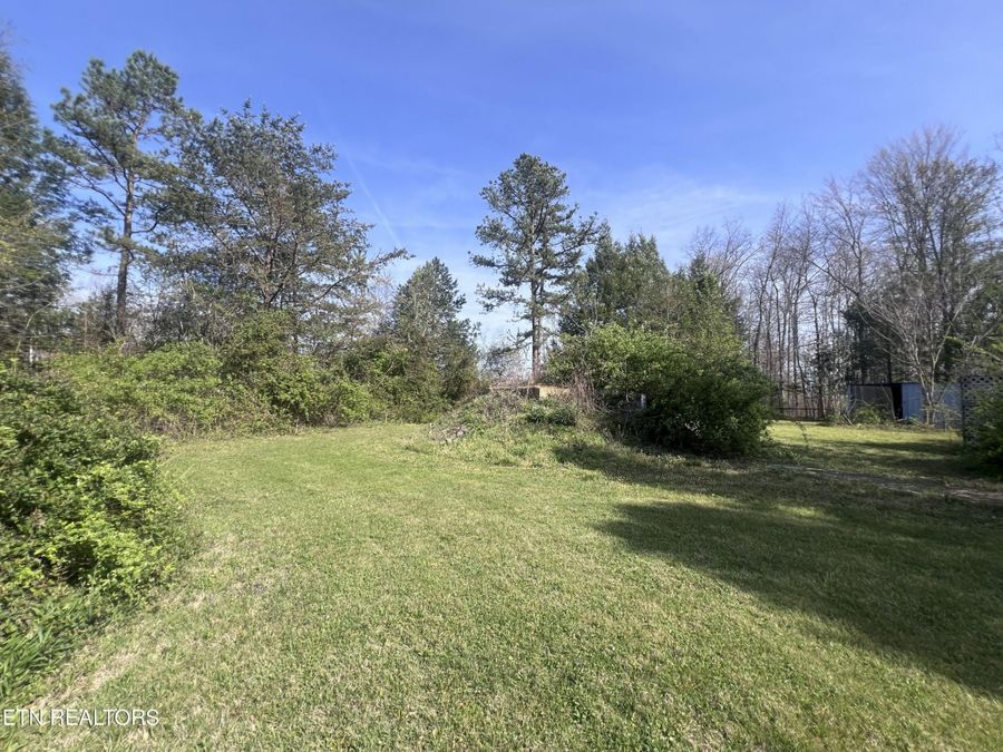 Property Image 51
