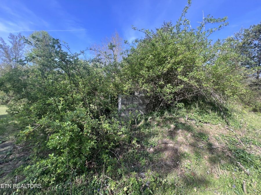 Property Image 53
