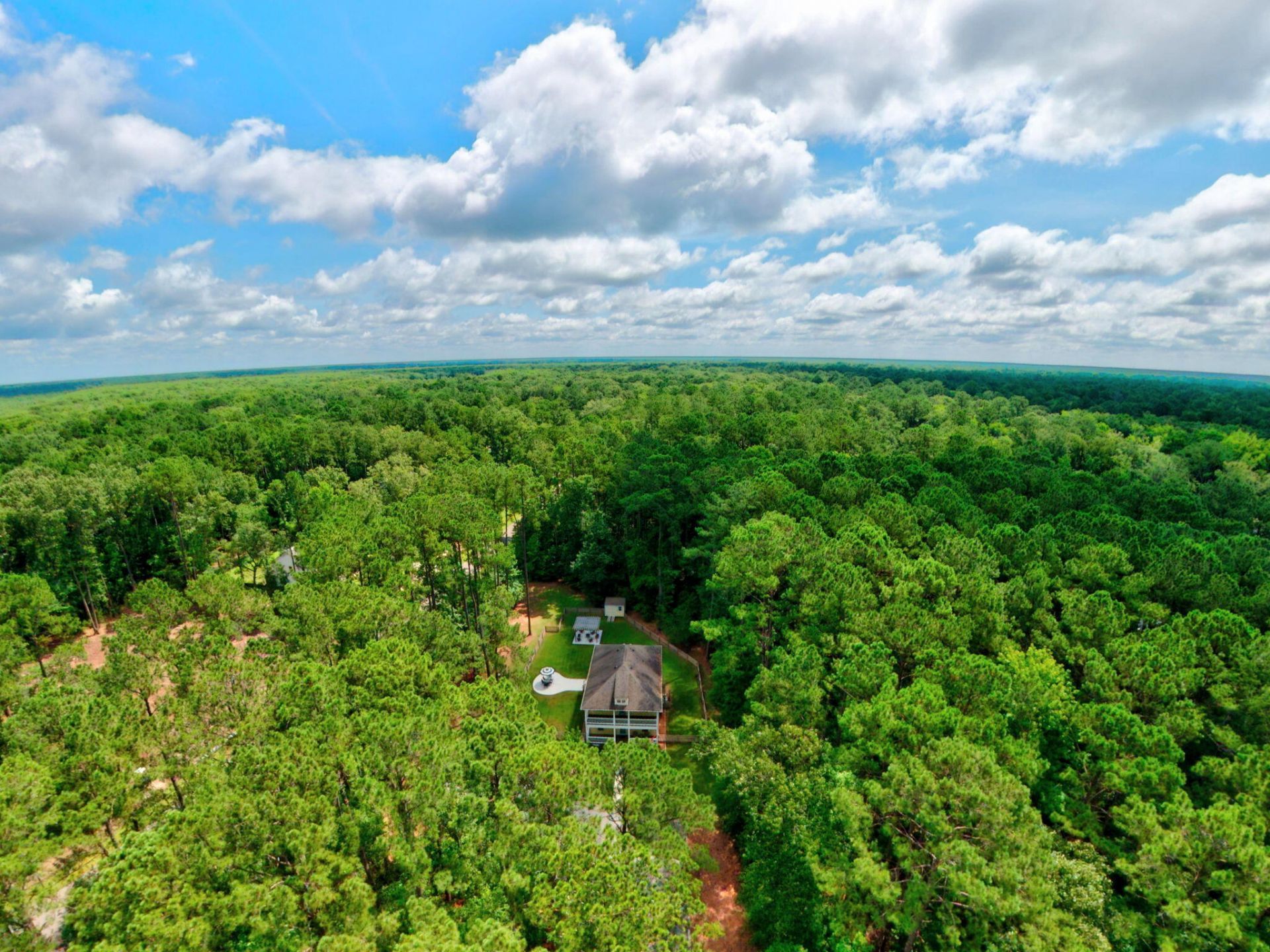 6530 Pepper Grass Trail Photo 57