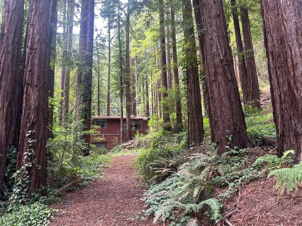 Boulder Creek, CA 95006
