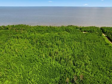 TBD Sandberg Road NE, Kelliher, MN 56650