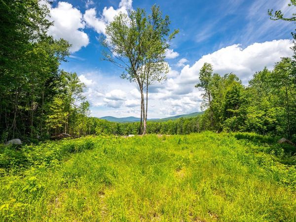 00 Little Pond Road, Andover, VT 05143