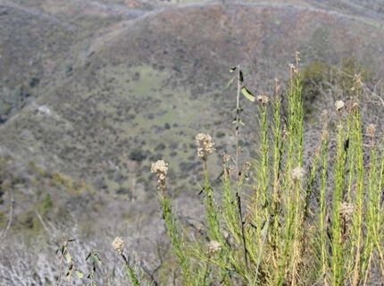 Fricot City Rd, San Andreas, CA 95249 Photo