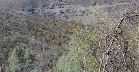 Fricot City Rd, San Andreas, CA 95249 Photo