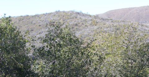 Fricot City Rd, San Andreas, CA 95249 Photo
