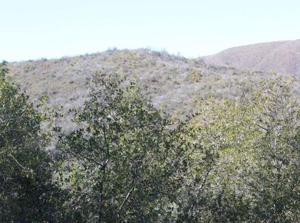 Fricot City Rd, San Andreas, CA 95249 Photo