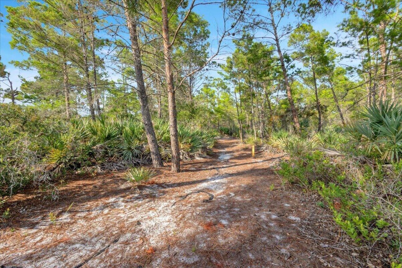 7714 SE Mammoth Drive Se, Hobe Sound, FL 33455 Photo
