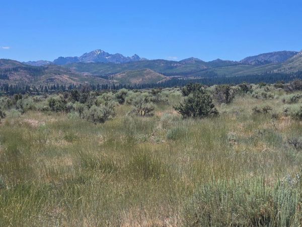 18 Sunrise Trail, Markleeville, CA 96120