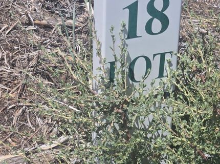 18 Sunrise Trail, Markleeville, CA 96120 Photo
