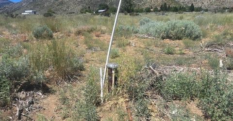18 Sunrise Trail, Markleeville, CA 96120 Photo