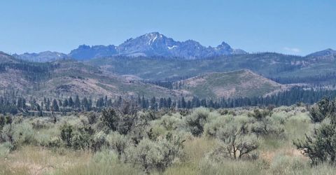 18 Sunrise Trail, Markleeville, CA 96120 Photo