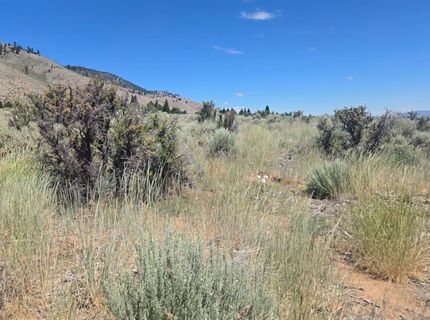 18 Sunrise Trail, Markleeville, CA 96120 Photo