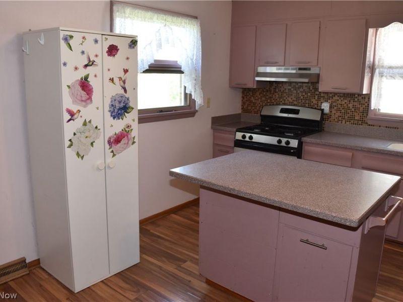 25 W 48th Street, Shadyside, OH 43947 Photo 3