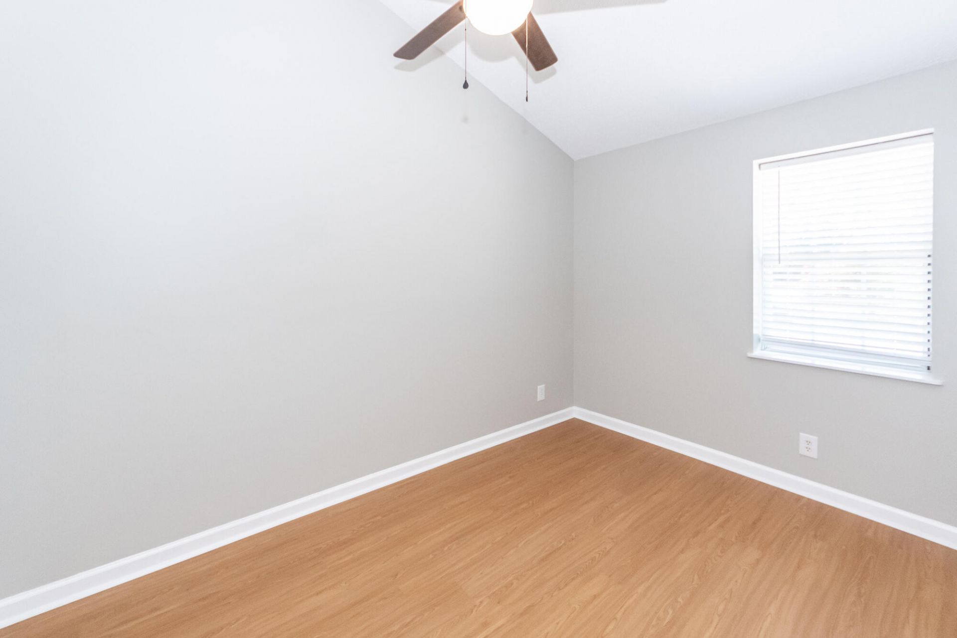 1441 Swamp Angel Court Photo 22