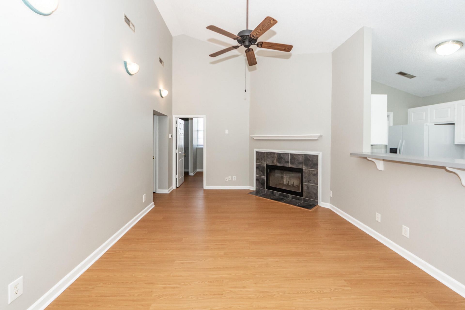 1441 Swamp Angel Court Photo 4