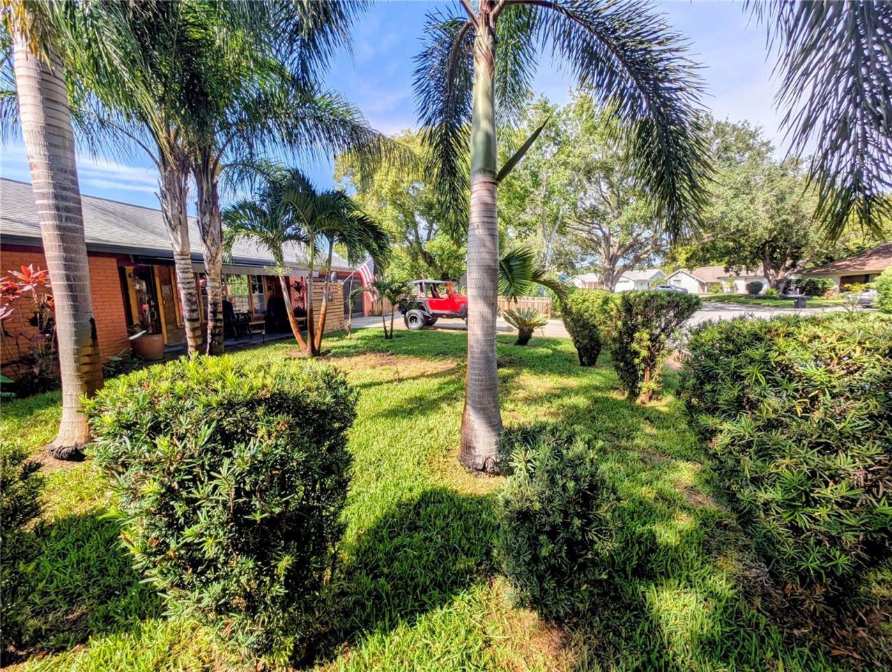 3849 Edgemont Drive, New Port Richey, FL 34652 Photo