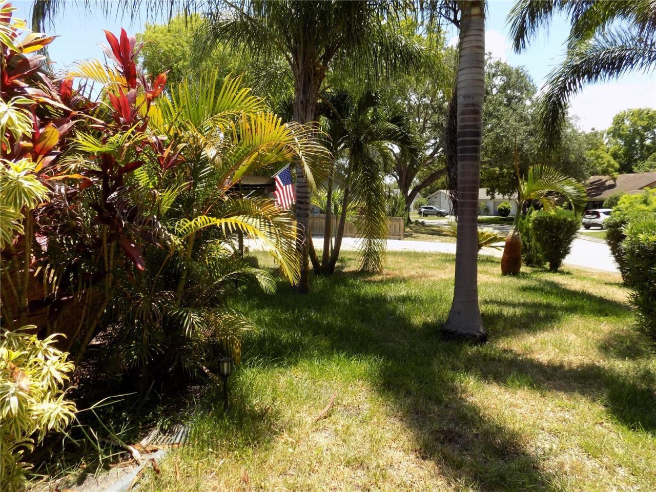 3849 Edgemont Drive, New Port Richey, FL 34652 Photo