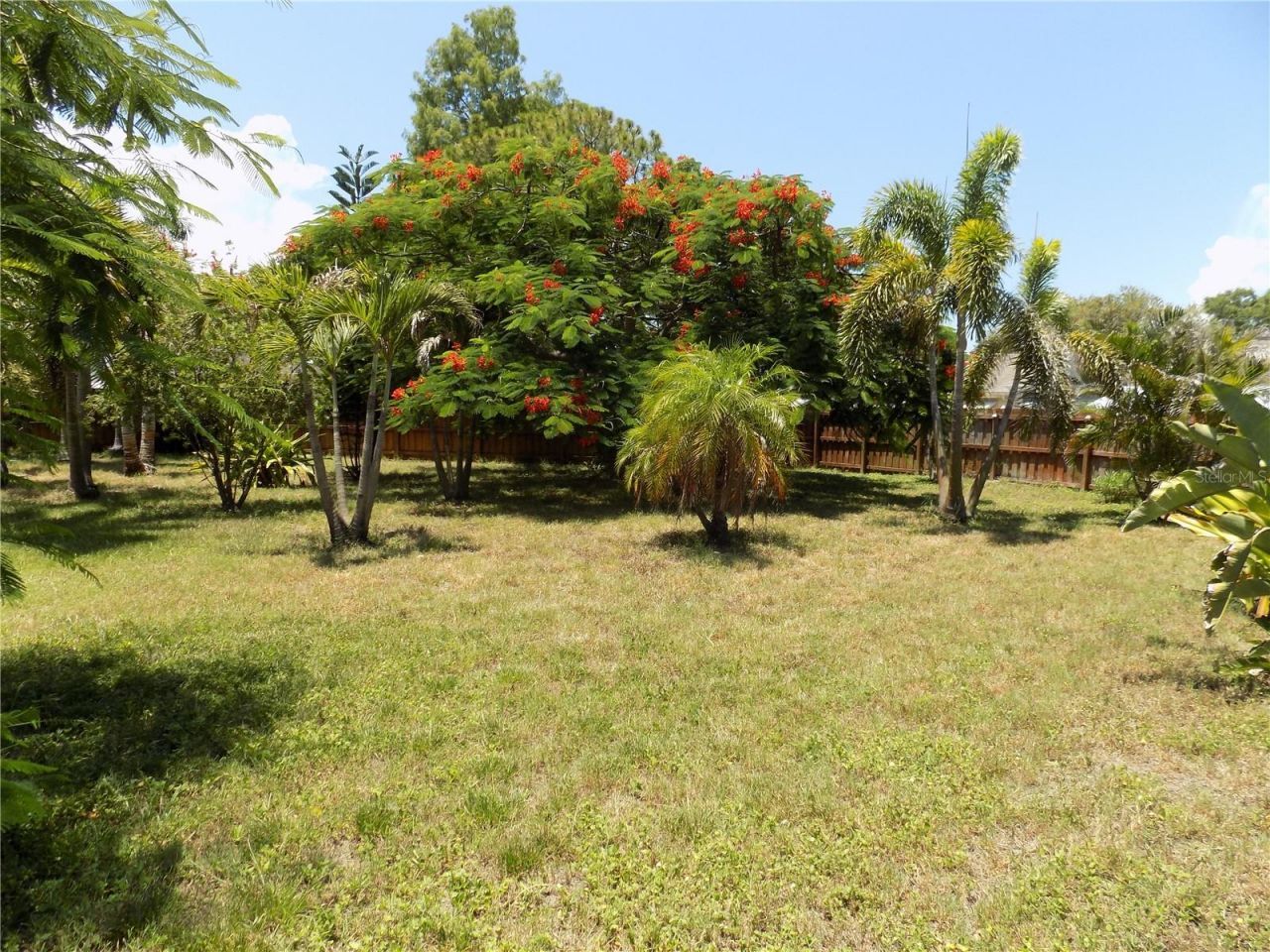 3849 Edgemont Drive, New Port Richey, FL 34652 Photo