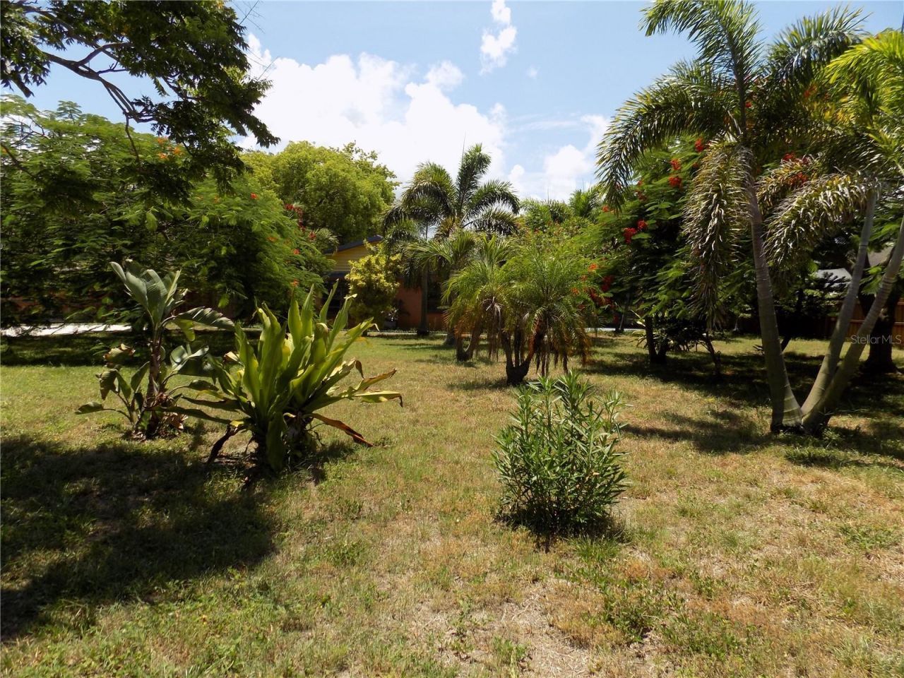 3849 Edgemont Drive, New Port Richey, FL 34652 Photo
