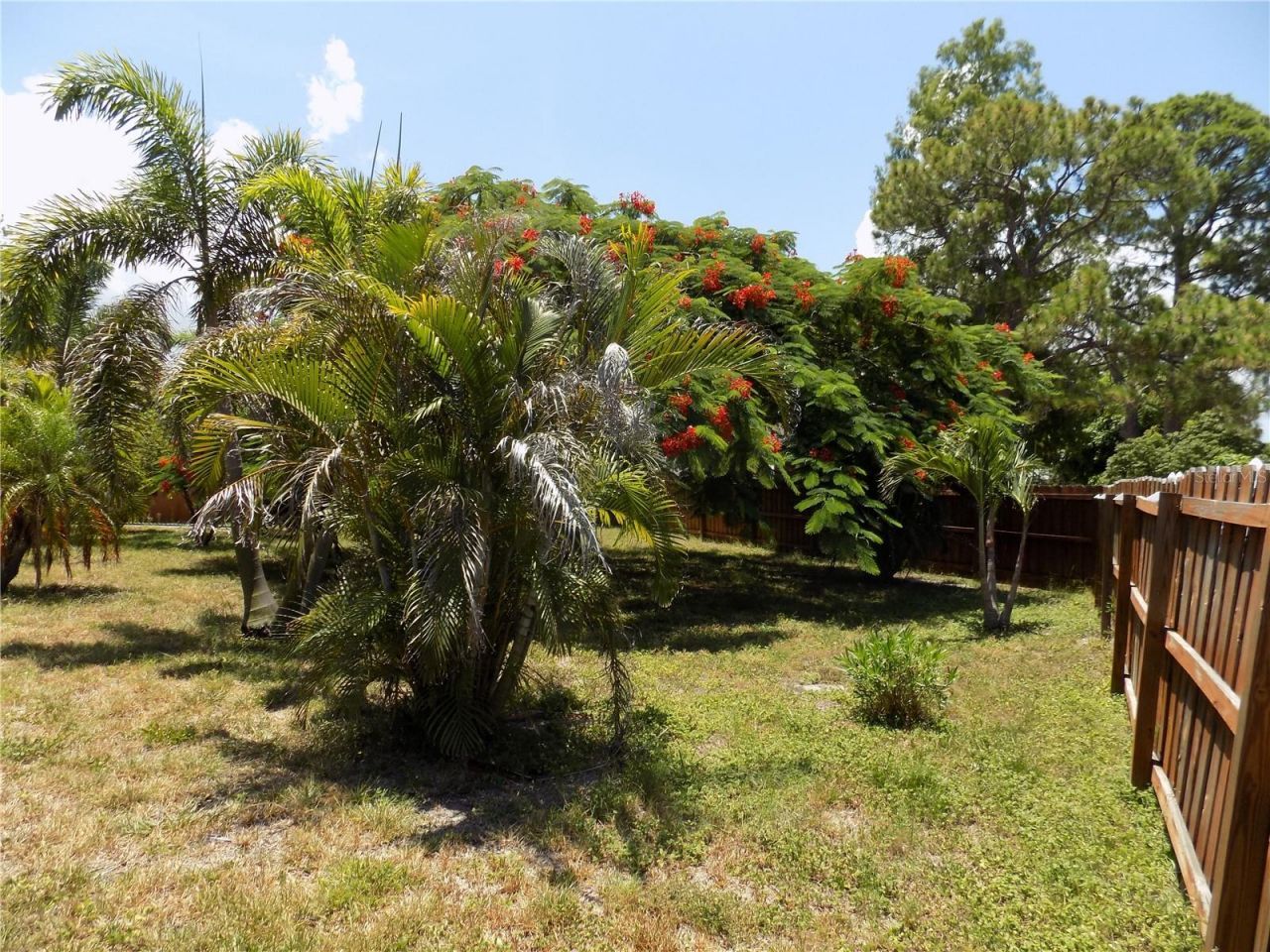 3849 Edgemont Drive, New Port Richey, FL 34652 Photo