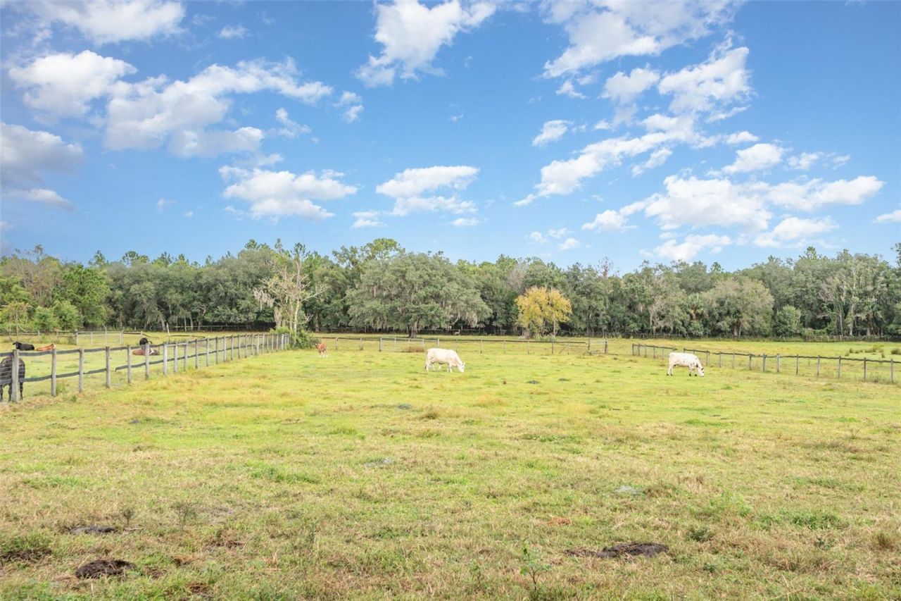 1374 E Ohio Avenue , Lake Helen, FL 32744 Photo