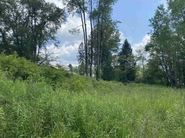 TBD Spruce Street, Thomas, WV 26292