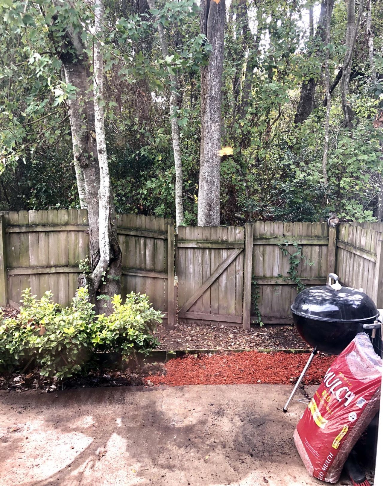 1408 Dataw Court Photo 7
