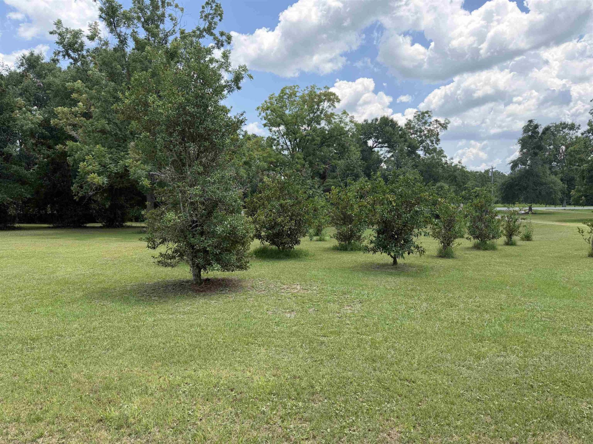 5323 Fairbanks Ferry Road , Havana, FL 32333 Photo
