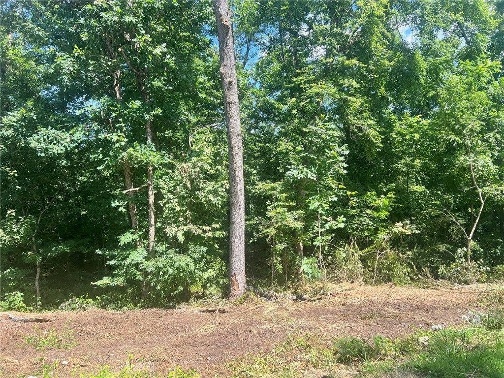 Lot 55 Block 1 Leicester Drive, Bella Vista, AR 72714 Main Photo
