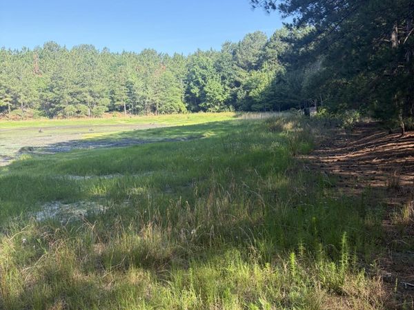 Tbd Jones Spring Church Road , Ellerbe, NC 28338