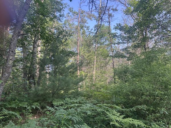 Lot#20 Arenonca Drive, Luzerne, MI 48636
