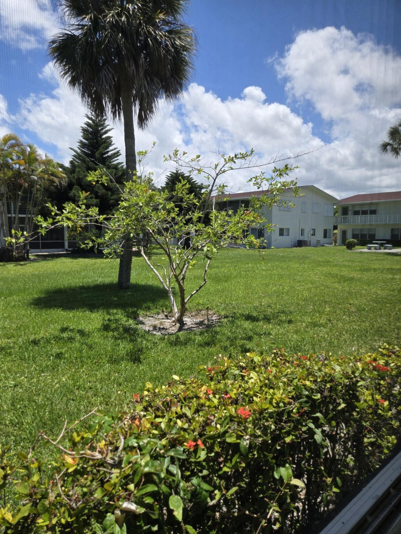 99 Salisbury E, West Palm Beach, FL 33417 Photo